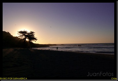 DSC_0246 (2)
